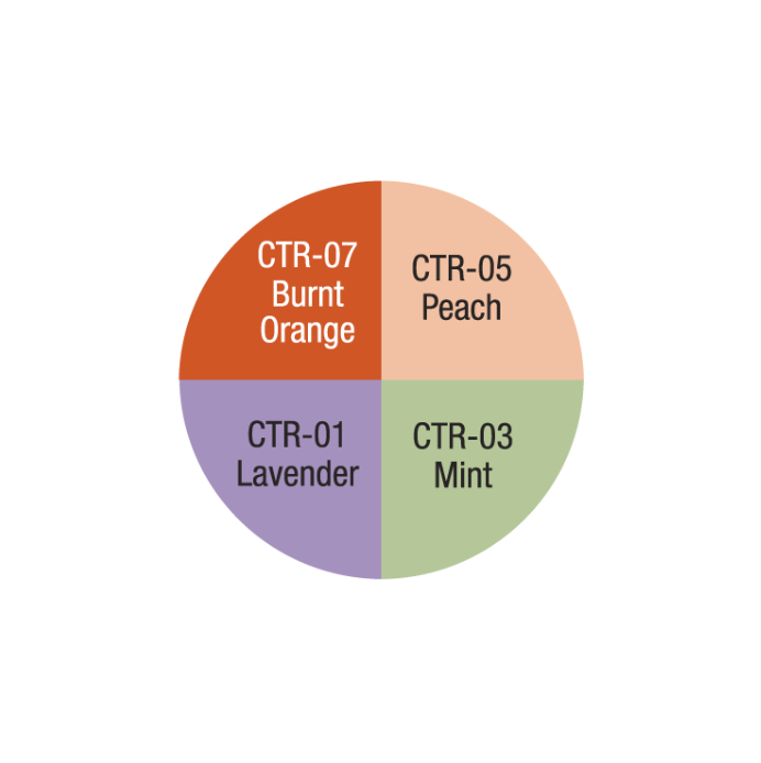 Ben Nye Media Pro CTRW-100 Total Corrector Wheel 1 oz