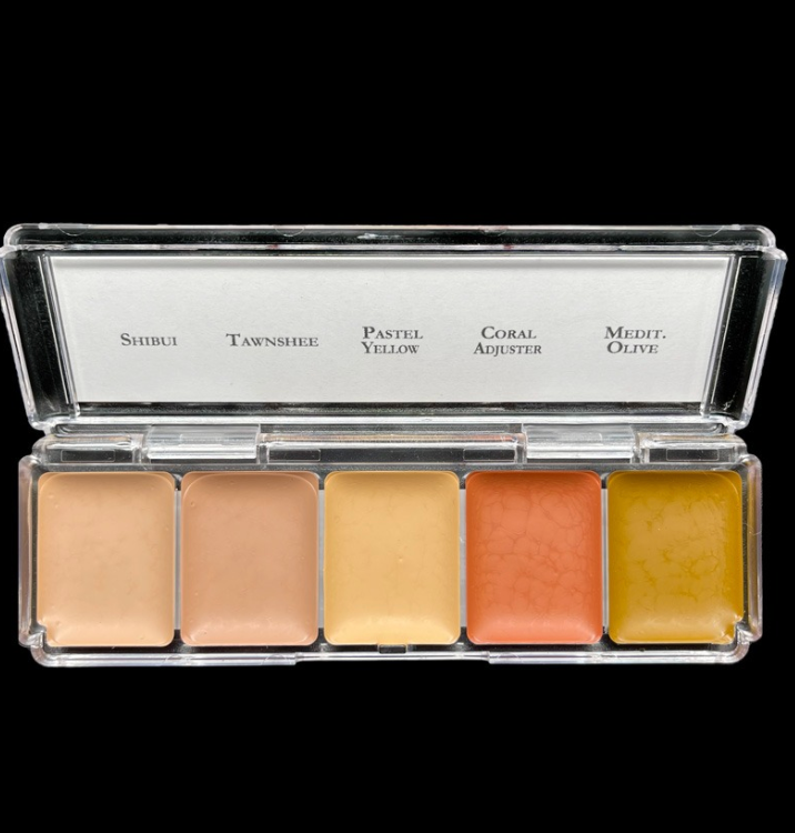 Skin Illustrator Ahsen's Tattoo Cover 2 Palette