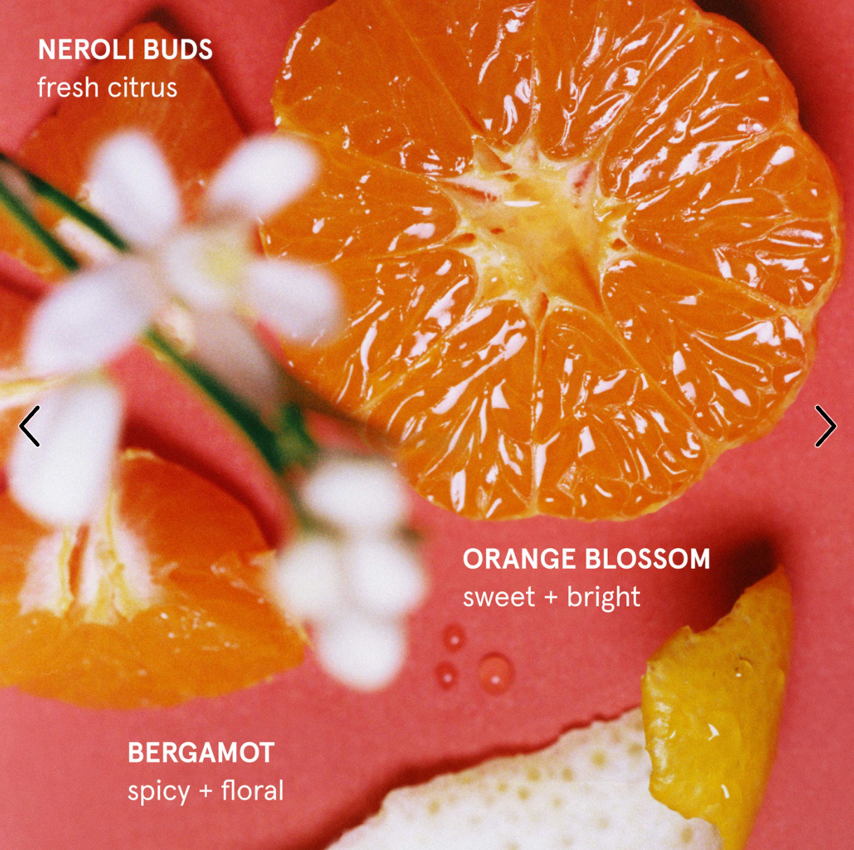 Glossier Daily Perfecting Nourishing Lotion - Orange Blossom Neroli - 8.4 oz/250 mL