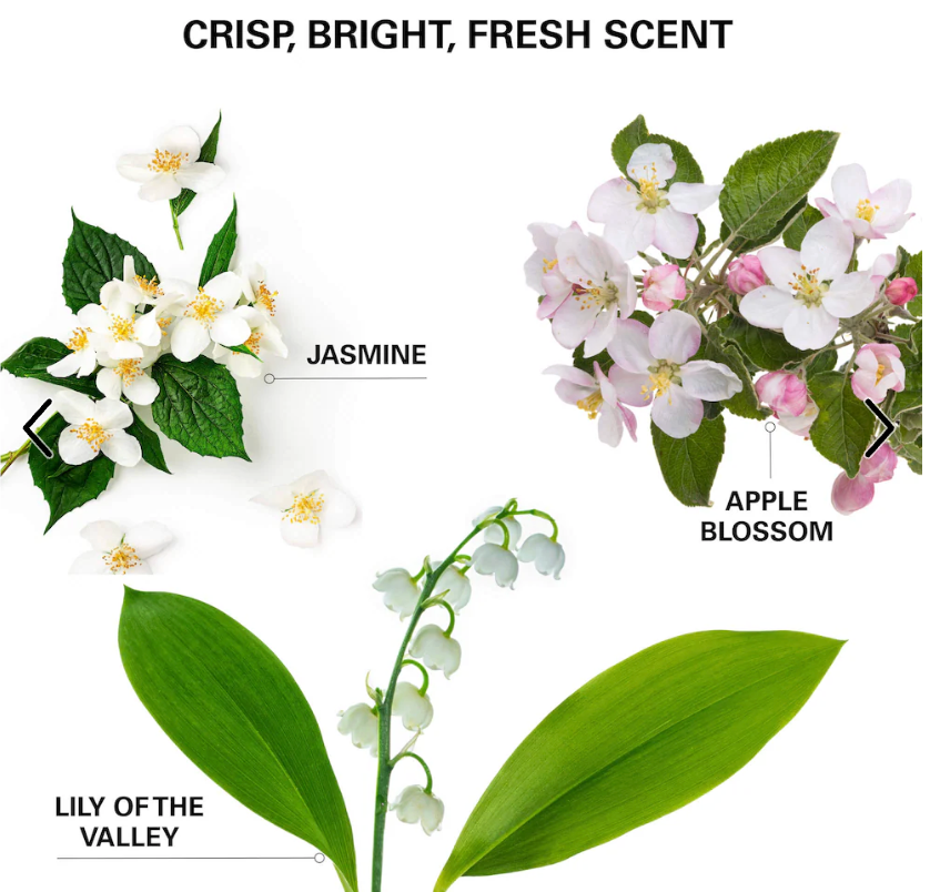 COLOR WOW Insta-Wow Advanced Dry Shampoo - 5 oz/171 ml