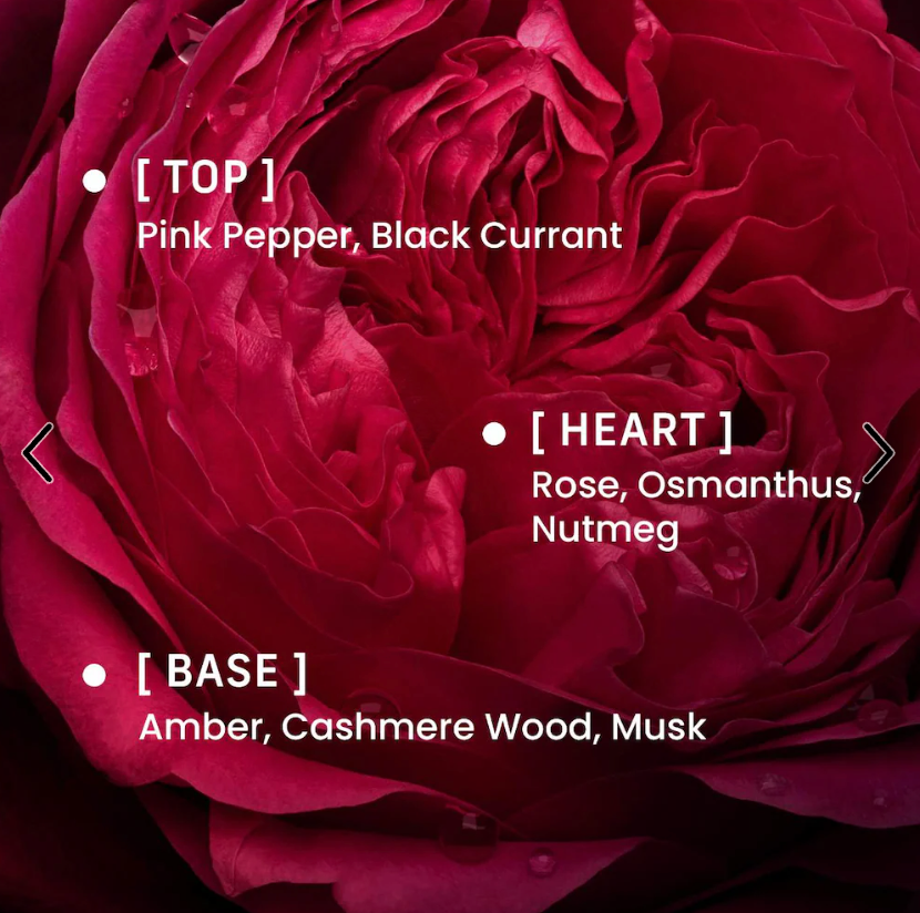 PHLUR  Rose Whip Eau de Parfum with Musk